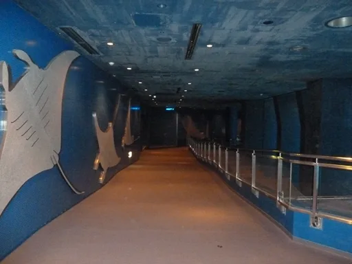 美ら海水族館の混み具合は?