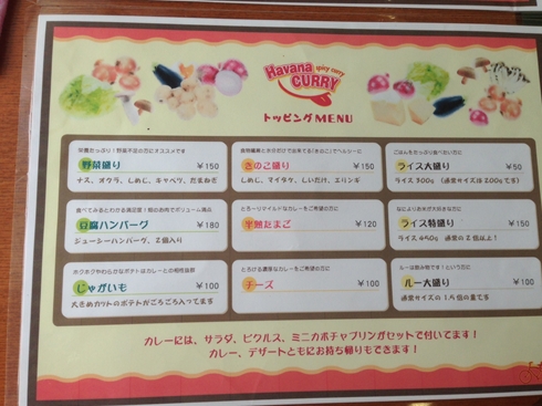 ハバナカレー(宜野湾市大山)