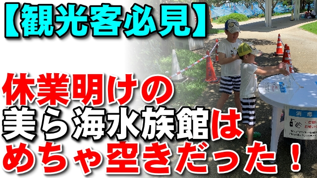もとぶ元気村のリクガメ