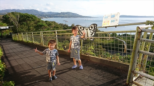 琉宮城蝶々園