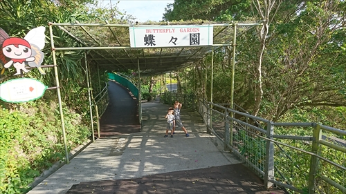 琉宮城蝶々園