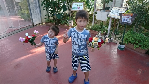 琉宮城蝶々園