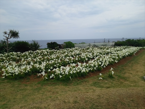 伊江島