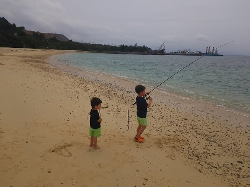 本部の海