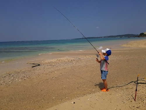 本部の海