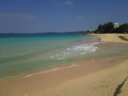 本部の海