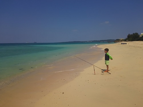 本部の海