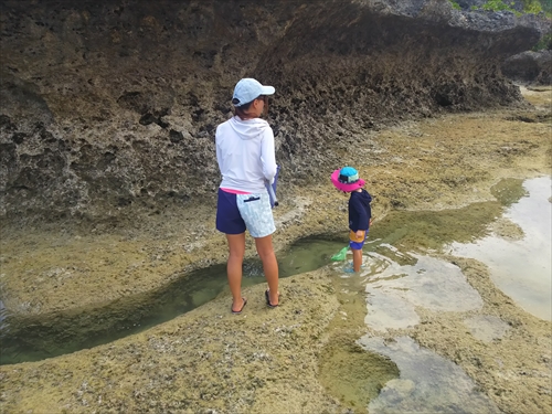 残波ビーチの奥で熱帯魚