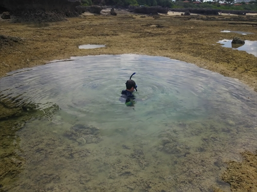 残波ビーチの奥で熱帯魚