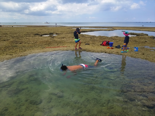 残波ビーチの奥で熱帯魚