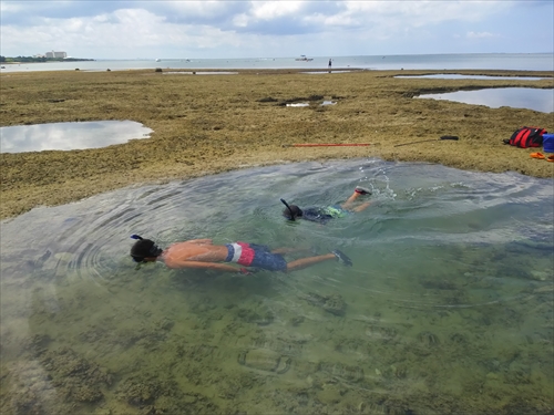 残波ビーチの奥で熱帯魚