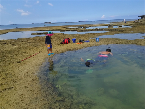 残波ビーチの奥で熱帯魚