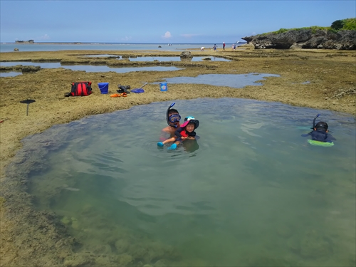 残波ビーチの奥で熱帯魚