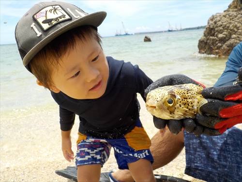 子連れ沖縄、沖縄おすすめ.com
