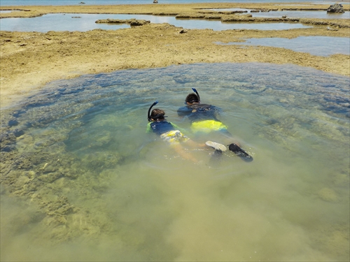 残波ビーチの奥で熱帯魚