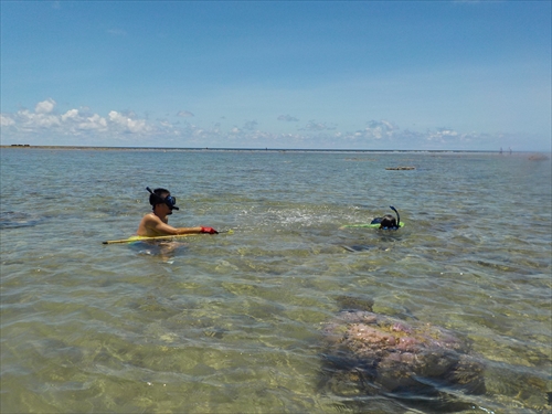 残波ビーチの奥で熱帯魚