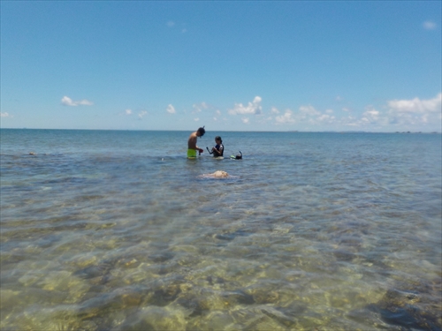 残波ビーチの奥で熱帯魚