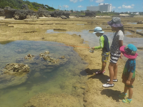 残波ビーチの奥で熱帯魚