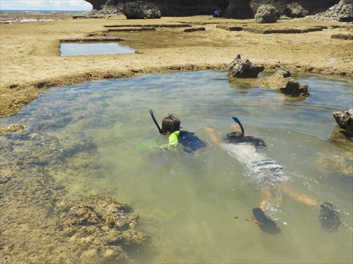 残波ビーチの奥で熱帯魚
