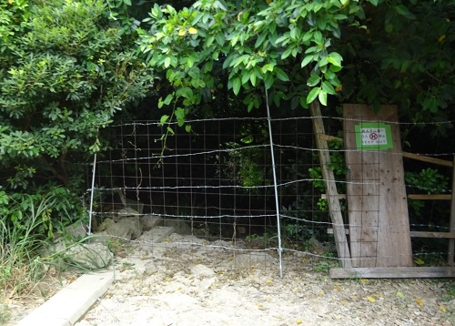 備瀬のワルミバンタ